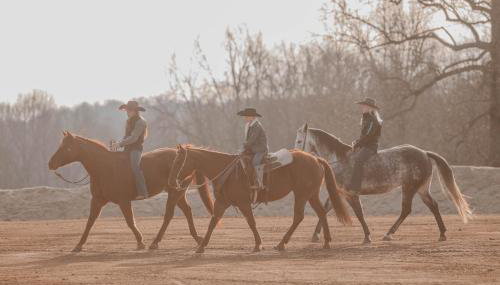 The Ranch - Foto 3