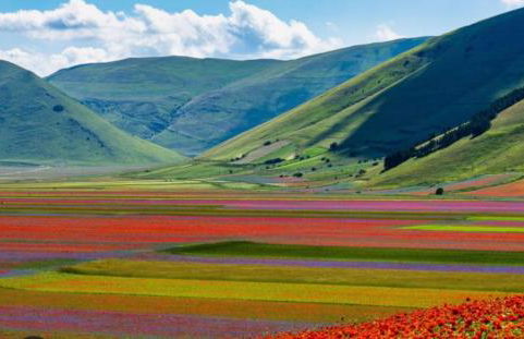 Il Nido Rosso - Foto 29