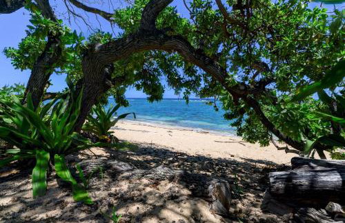 Haena Beach House 2 Bedroom Home by RedAwning - Foto 22