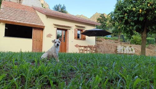 Capocampo Amalfi Coast - Foto 5, Garden, Garden view