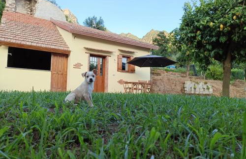 Capocampo Amalfi Coast - Foto 5