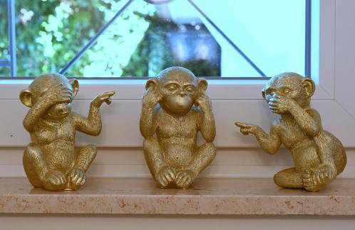 Villa Hortensie - Foto 20