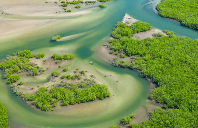 Tour de 8 días por lo mejor de Gambia - Foto 1