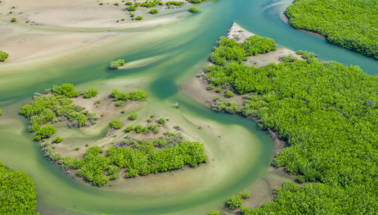 Tour de 8 días por lo mejor de Gambia - Foto 1, Tour de 8 días por lo mejor de Gambia