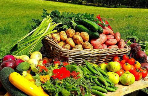 Ballylagan Organic Farm - Foto 48