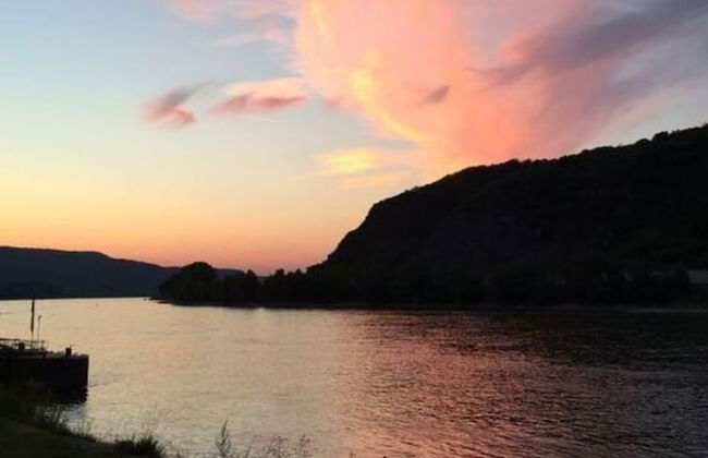 Uitzicht op de Pellenz - Foto 16