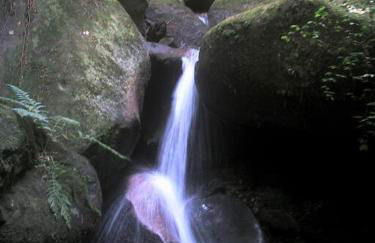 Natur pur im Nationalpark Schwarzwald - Foto 20