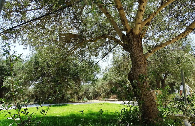 Lyrids Apartments - Photo 145