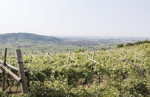 Corte dei Soavi Suites - Apartments - Foto 10