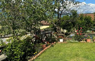 Villino Il Gelsomino - Relax e Natura - Foto 67