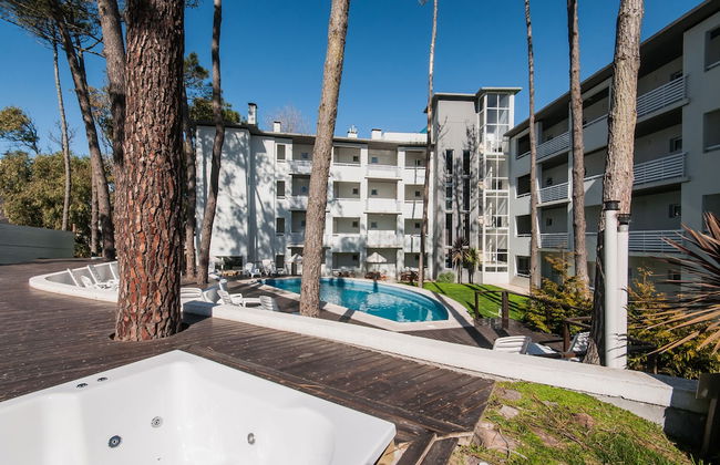 Avutarda de Carilo - Photo 49