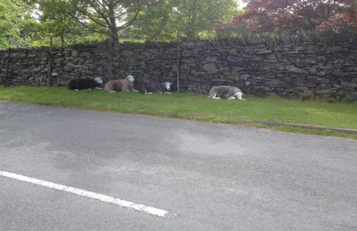 Cosy home in centre of Lake District National Park - Foto 16