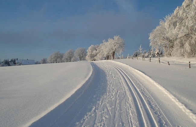 Wohnung in der Nahe der Skipiste in Zuschen - Foto 38