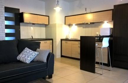 Apartament Wyspa, 2 pokoje, parking gratis - Foto 16