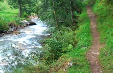 Casa vacanze Heidi e Peter Val di Rabbi - Foto 50