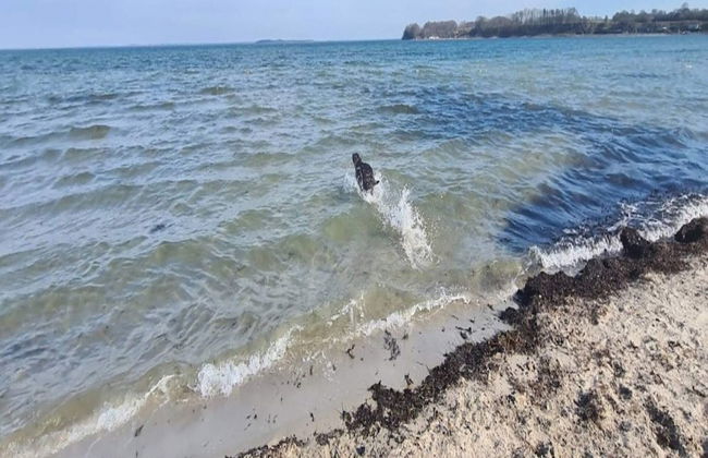 6 Person Holiday Home on a Holiday Park in Hejls - Foto 25