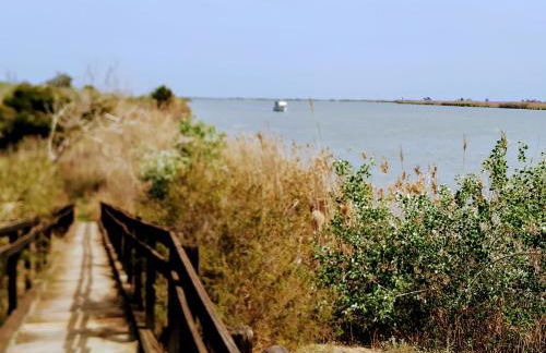 LA PAU DEL DELTA - Foto 36