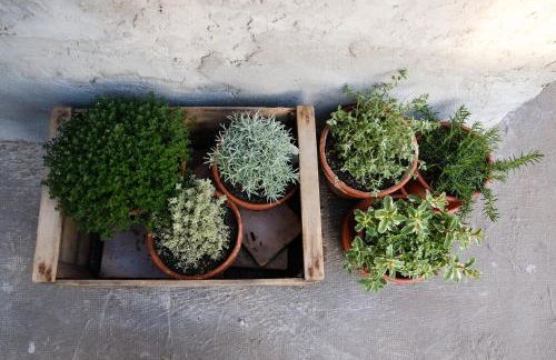 Il Vecchio Comune - Foto 58