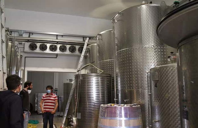 Visita a una cantina di Pozzolengo - Foto 3