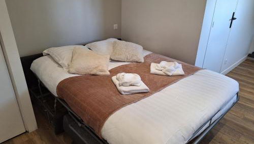 Studio lumineux 2 pers Olivet Avenue Loiret - Photo 3, towels