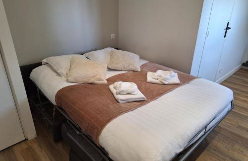 Studio lumineux 2 pers Olivet Avenue Loiret - Photo 3