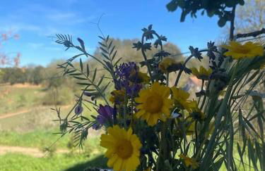 Casa rural La Frambuesa - Foto 63