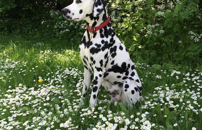 Château De La Goujonnerie - Photo 57