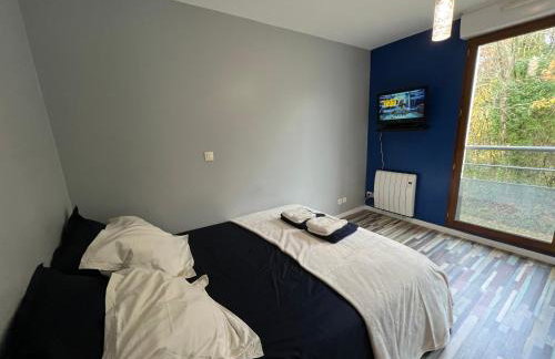 Le clos Schumann - Foto 4