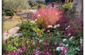 La Providence - Photo 45