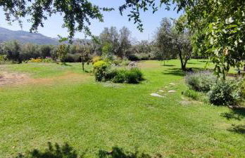 Slow House sa mayma - Foto 9