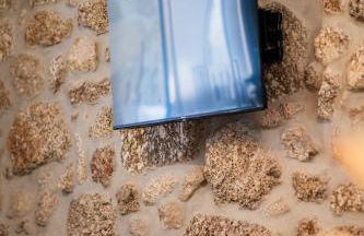 Quinta do Assento - Foto 44