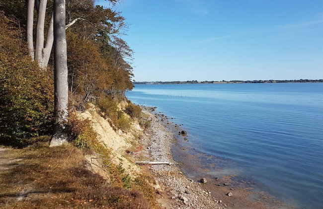 4 Person Holiday Home in Sonderborg - Photo 33