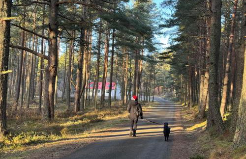 Cosy Highland Cottage in the Woods on Royal Deeside - Foto 23