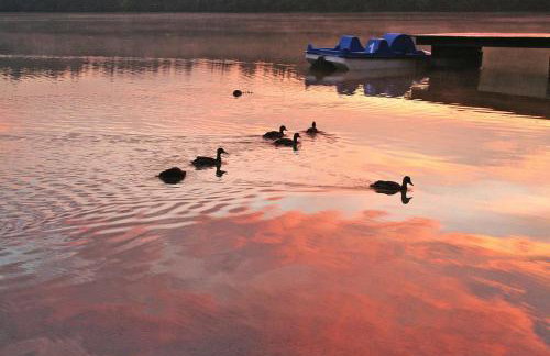 A Wonderful Holiday Home With Lake Access - Foto 45