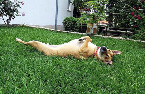 Apartment Ana - Foto 45