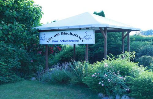 Angelina 13 - Foto 14