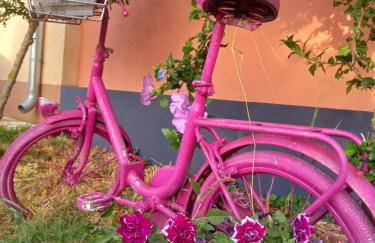 Apartments Kaić 1045 - Photo 1