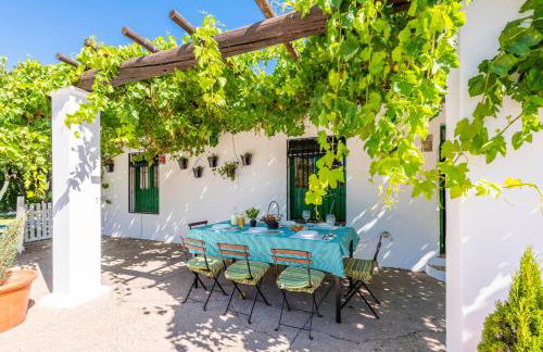 Huerta la Pimentada - Foto 66