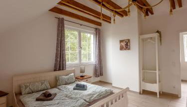 Pferdeparadies Calm River Ranch - Foto 4