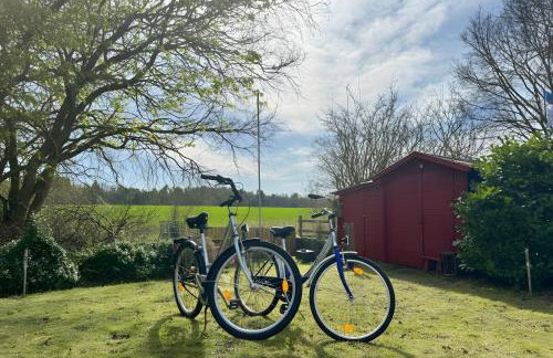 Ferienhaus Haffsonne - Foto 18