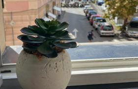 La finestra sul mare - Photo 7