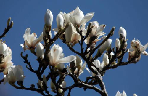 Stables Cottage - Foto 28