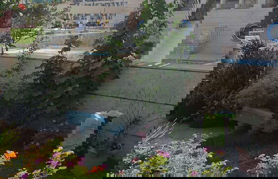 Israel Marina Village rent apartment - Photo 34