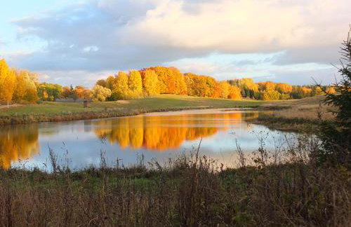 Dwór Klewiny - Foto 23