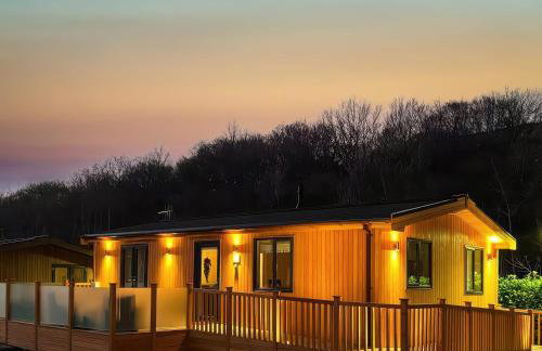 Dovestone Luxury Lodges sleeps 4 - pets welcome - Foto 1