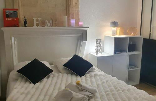 Little Saint James au coeur historique de Bordeaux - Foto 10