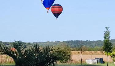 Gîte la Baronnière (les Cauffours) - Foto 3