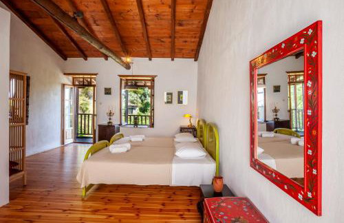 Olea Skopelos villas with swimming pools & sea view - Foto 12