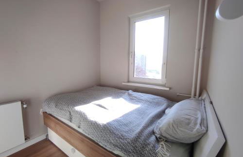 Urban Jungle Retreat - Foto 12