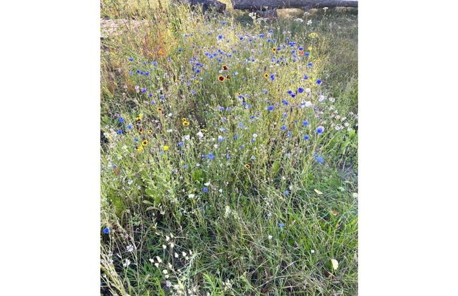 Horami Villa - Origami Apartment - Foto 11